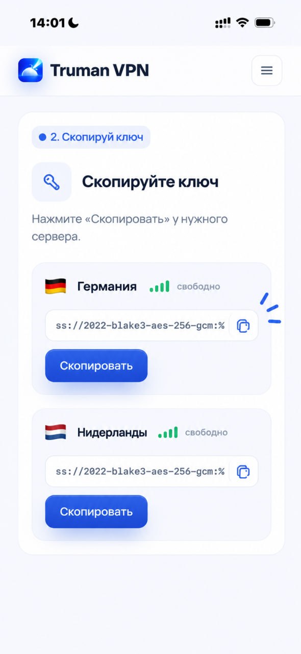Список ключей по странам, у каждого — кнопка «Скопировать»